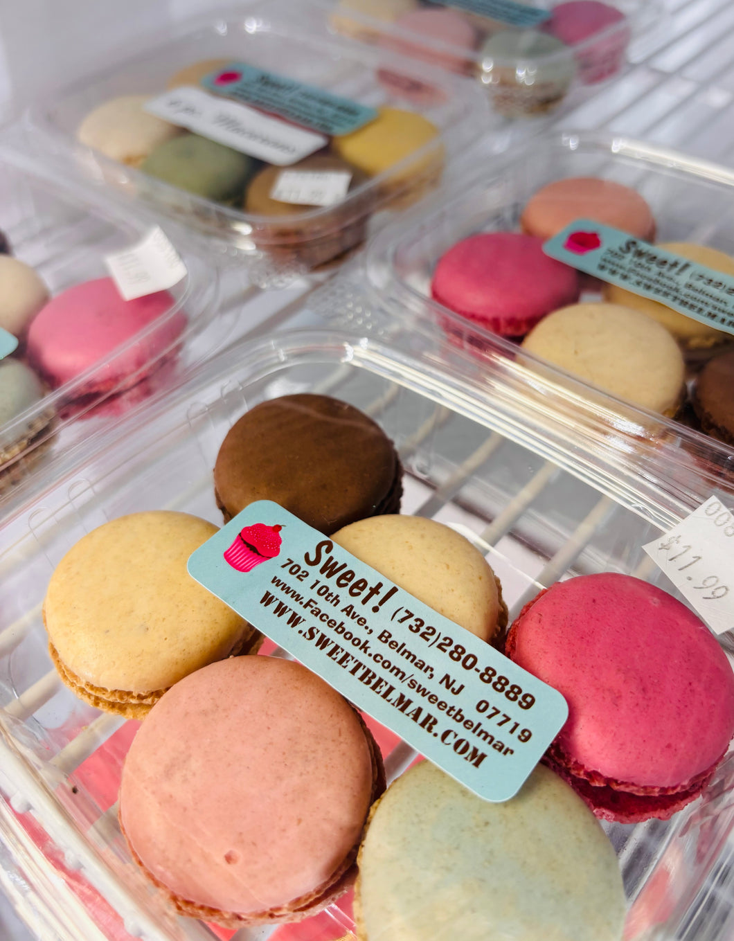 **St. Rose Fundraiser** - 6 pc. Macarons