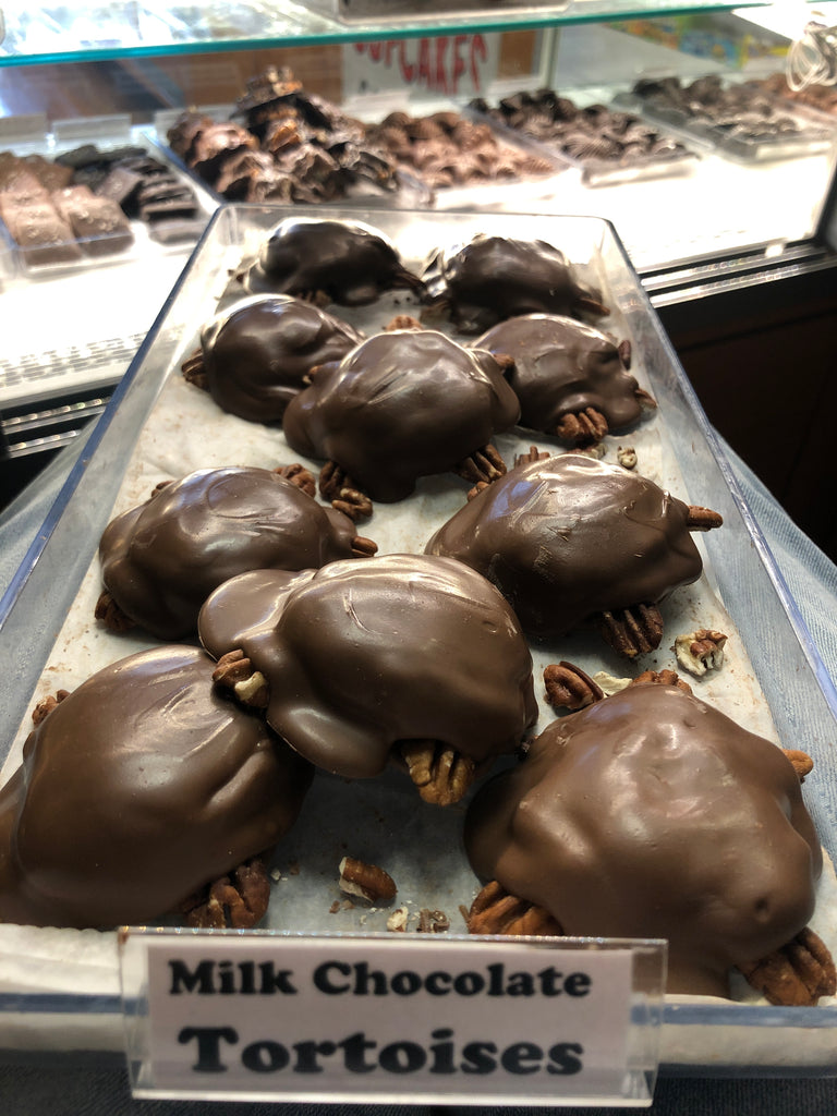 Tortoises – SweetBelmar